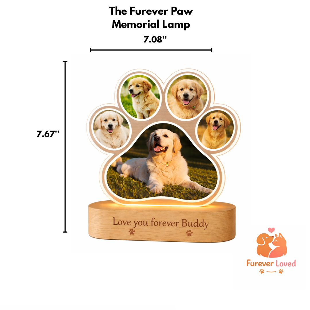 The Furever Paw Memorial Lamp